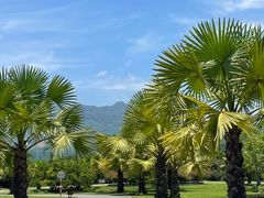 -中国科学院西双版纳热带植物园