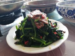 -西安外国语大学-学生食堂(栾树大道店)