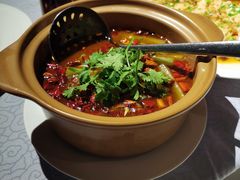 -皇朝会.经典传统粤菜(外滩店)