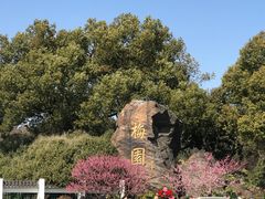 -无锡梅园公园