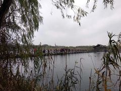 -溱湖国家湿地公园