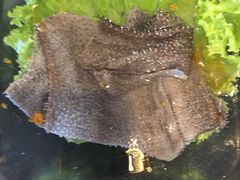 -疯狂的筷子老灶九宫格火锅