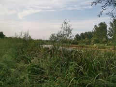 -淇河国家湿地公园