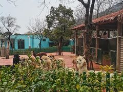 -无锡动物园·太湖欢乐园