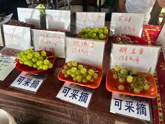 -马陆小张葡萄园农家乐