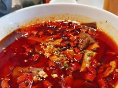 -大鸭梨烤鸭(顺义石园店)
