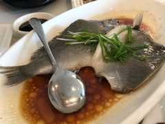 石斑鱼-衡山汇·高级粤菜(霄云路店)