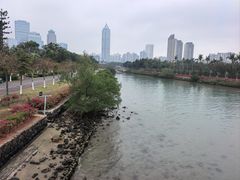 -万绿园