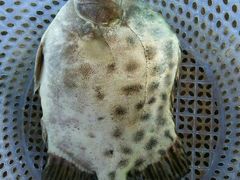 -龙溪海鲜酒家(溪涌店)