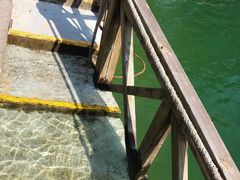 -广州市流溪河国家森林公园