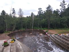 -五营红松林海景区