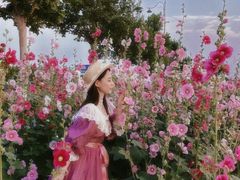 -天津东丽湖风景区