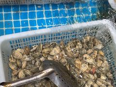 -和源祥·日照菜扛把子(万平口一店)