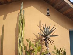 -三圣花乡旅游区