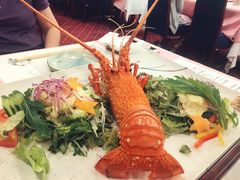 -活伊势龙虾料理 中纳言(千日前味乐馆店)