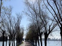 -艾溪湖湿地公园