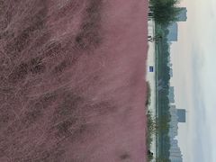 -咸阳湖景区