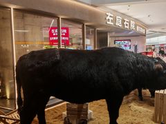 -左庭右院鲜牛肉火锅(京西大悦城店)