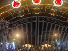 -武汉知音号