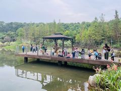 -宾果蒙特梭利托育儿童之家幼儿园(爱琴海店)