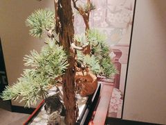 -顺峰(农展馆店)