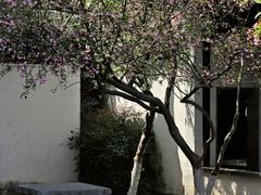-尚湖风景区