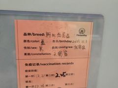 -FAELING PETS美天灵宠物(合生汇店)