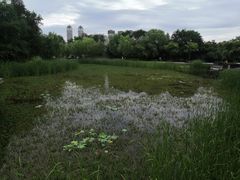 -群力丁香公园