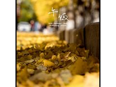 -辽宁大学(崇山校区)