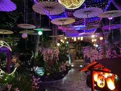 -海口观澜湖火山温泉谷