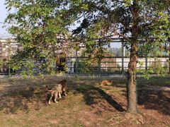 -宿豫区运河湾森林动物园