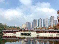 -重庆彩云湖湿地公园