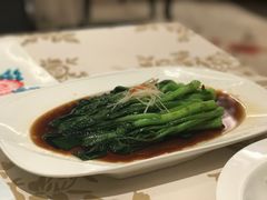 白灼广东菜心-昆山金鹰尚美酒店·金鹰贵宾楼