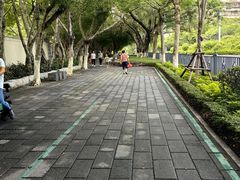 -溪岸路花鸟市场