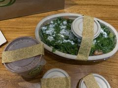 -油梨树 AVOCADO TREE(亮马桥店)