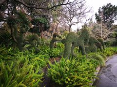 -墨尔本皇家植物园
