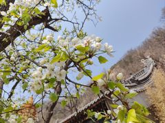 -天津盘山风景名胜区