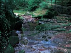 -碧峰峡风景区