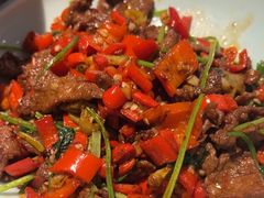 -雀蓝川菜(奥体广场店)