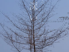 -日月湾海门游览区