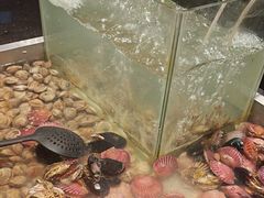 -钱小奴创意自助餐厅·原切谷饲安格斯畅吃(苏州昆山招商花园城店)