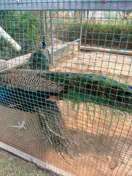 -萌宠亲子动物乐园(槐房万达店)