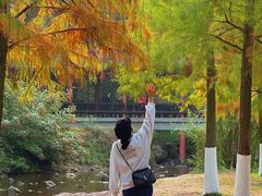 -重庆彩云湖湿地公园