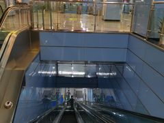 -大龙山(地铁站)