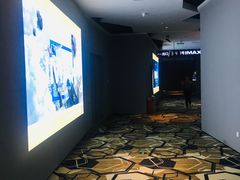 -星河寰宇IMAX影城(星河WORLD·COCO Park店)