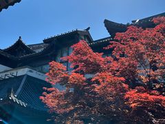 -威海华夏城景区