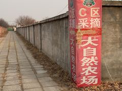 -大自然农场蔬菜草莓采摘园