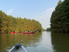 -上海海湾国家森林公园