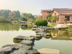 -上海海湾国家森林公园