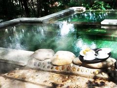 -花水湾第一村温泉大酒店